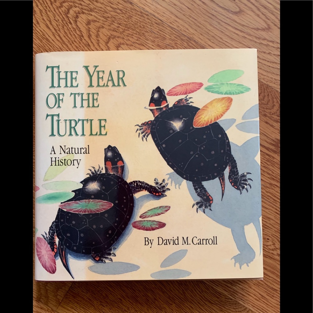 Book, The Year of the Turtle with illustrations